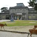 奈良国立博物館の写真_115808