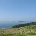 土谷棚田の写真_115911