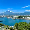 ふじのくに田子の浦みなと公園の写真_1159460