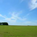 中標津牧場地帯の写真_116049