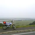 霧多布湿原の写真_116054