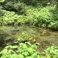 塩釜の冷泉の写真_1162786