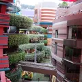 キャナルシティ博多の写真_116517