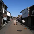 犬山城下町の写真_116630