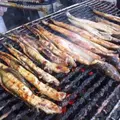 鈴木鮮魚店の写真_116697