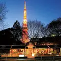 Le Pain Quotidien (ル・パン・コティディアン) 芝公園店の写真_116728