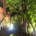 グリーンハウスシルバ （GREEN HOUSE Silva）の写真_116850