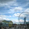 マリノアシティ福岡の写真_117501