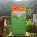 吊橋 椿山レイクブリッジの写真_117830