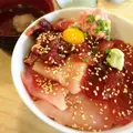 紀の代の写真_117882