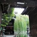 紫雲山頂法寺（六角堂）の写真_118006