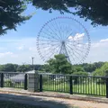 葛西臨海公園の写真_1181047