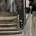 尾道駅の写真_1181184