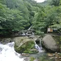 白谷雲水峡の写真_118195