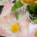 味処 あらしの写真_1184029
