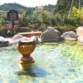矢板温泉 まことの湯の写真_118417