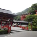 祐徳稲荷神社の写真_118512
