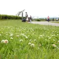 葛西臨海公園の写真_118582