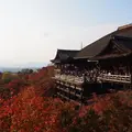 清水寺の写真_118655