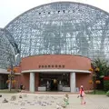 東京都夢の島熱帯植物館の写真_118675