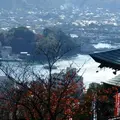千光寺の写真_118767
