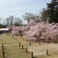 高梨館跡公園の写真_118909
