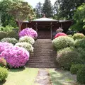 霊閑寺（無相大師祖堂）の写真_118910