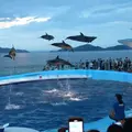 四国水族館の写真_1189426