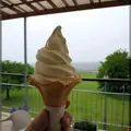 都農ワイナリーの写真_119113