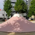 絶滅危惧名山「富士山」の写真_119166