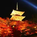 清水寺の写真_119245