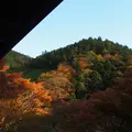 高山寺の写真_119272