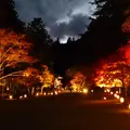 神護寺の写真_119286