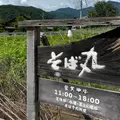 そば丸の写真_1193237