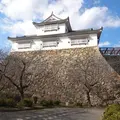 津山城跡の写真_119402