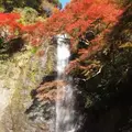 箕面の滝（箕面大滝）の写真_119570