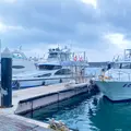 八斗子観光漁港の写真_1195730
