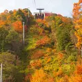 八幡山ロープウェーの写真_119600
