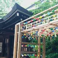 川越氷川神社の写真_1196871