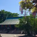 川越大師 喜多院の写真_1196913