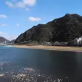 とりあえず長良川と金華山の写真_119704