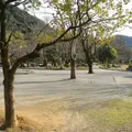 岐阜公園の写真_119707