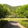 梅林公園の写真_119713