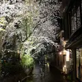高瀬川の写真_119962