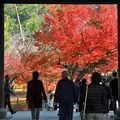 南禅寺の写真_120428
