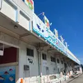 うみまち商店街の写真_1204782