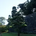 皇居東御苑の写真_120627