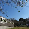 北の丸公園の写真_120628