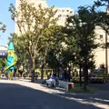 恵比寿公園の写真_120675