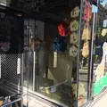 きりんちゃんのだがしやの写真_120676